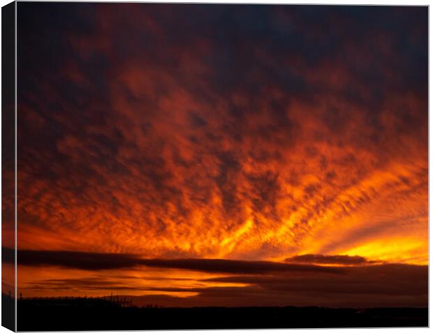 Sunset 30-01 Canvas Print by Dave Withington