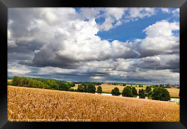 Dramatic sky over a golden wheat fields. Framed Print by Sergey Fedoskin