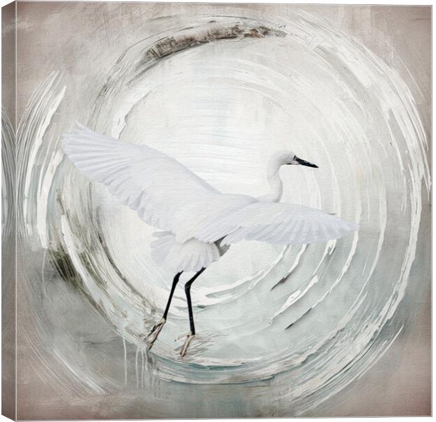 Dawn Soaring: Egret's Winter Journey Canvas Print by kathy white