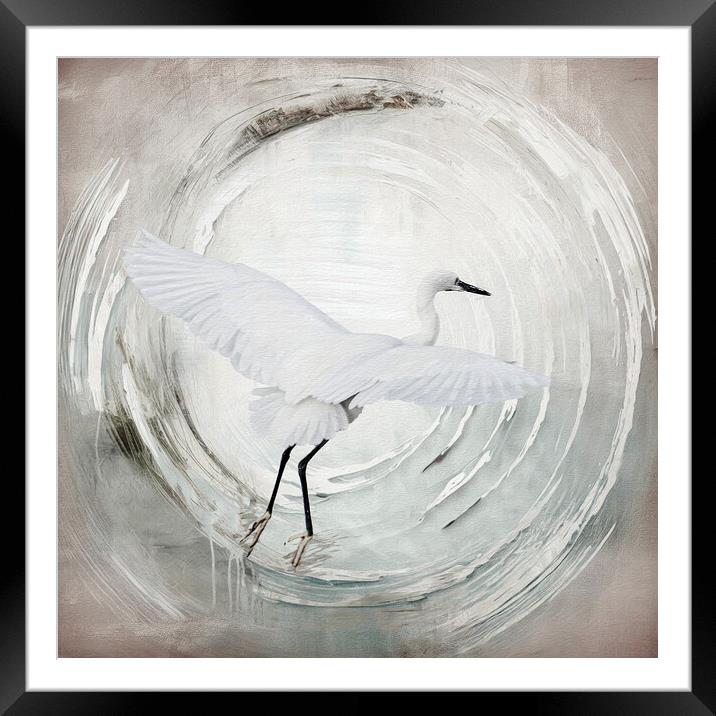 Dawn Soaring: Egret's Winter Journey Framed Mounted Print by kathy white