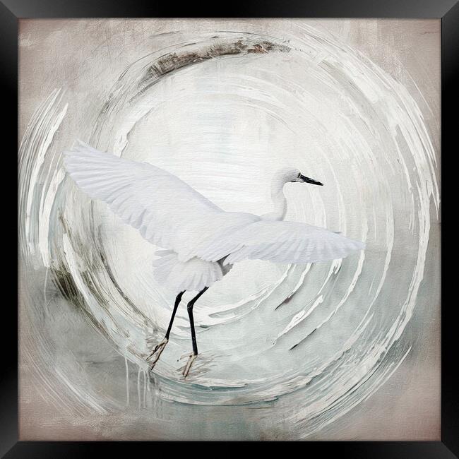 Dawn Soaring: Egret's Winter Journey Framed Print by kathy white