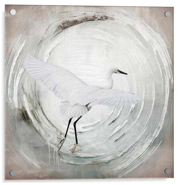 Dawn Soaring: Egret's Winter Journey Acrylic by kathy white