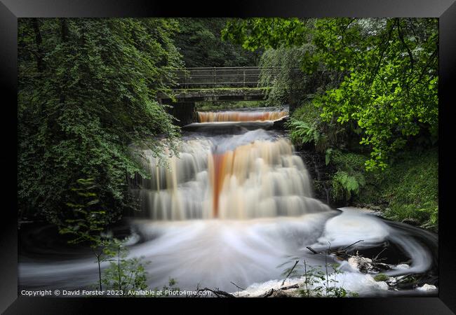 Blackling Hole Waterfall, Hamsterley Forest, County Durham, UK Framed Print by David Forster