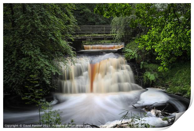 Blackling Hole Waterfall, Hamsterley Forest, County Durham, UK Print by David Forster
