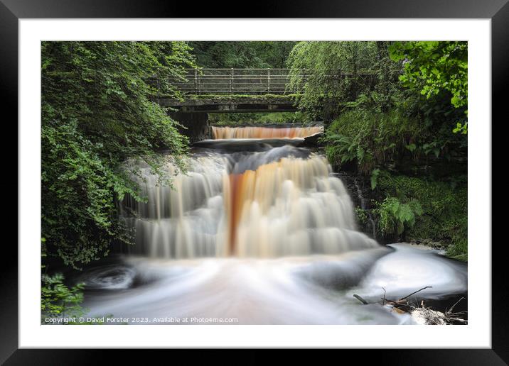 Blackling Hole Waterfall, Hamsterley Forest, County Durham, UK Framed Mounted Print by David Forster