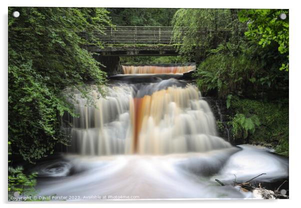 Blackling Hole Waterfall, Hamsterley Forest, County Durham, UK Acrylic by David Forster