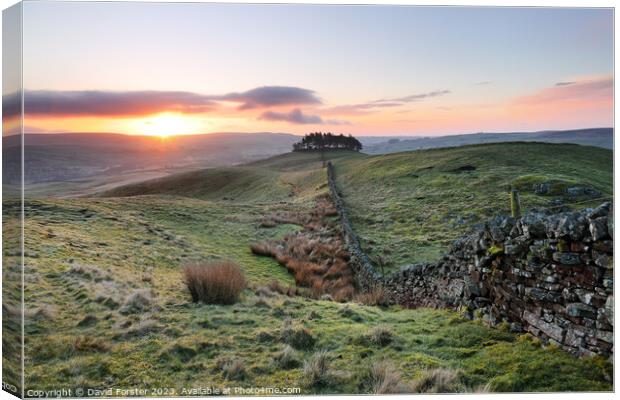 Kirkcarrion Sunrise, Teesdale, County Durham, UK Canvas Print by David Forster