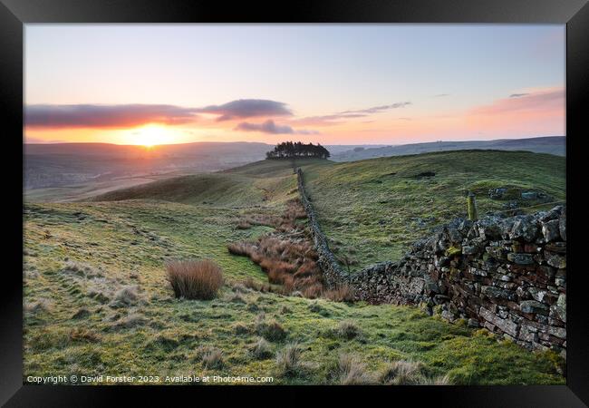 Kirkcarrion Sunrise, Teesdale, County Durham, UK Framed Print by David Forster