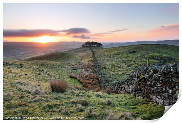 Kirkcarrion Sunrise, Teesdale, County Durham, UK Print by David Forster