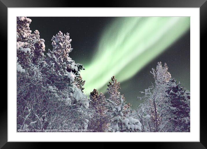 Northern Lights Snow Trees Framed Mounted Print by Dave Eyres