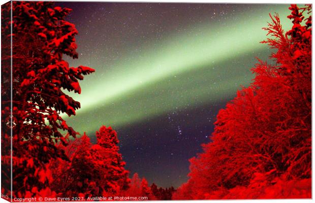 Northern Lights Red Trees Canvas Print by Dave Eyres