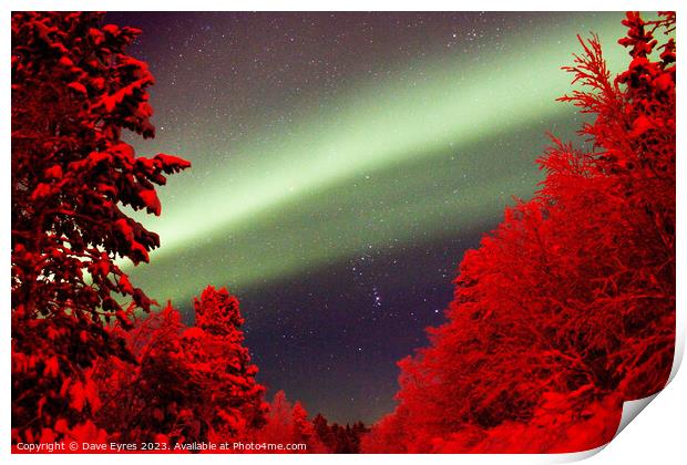 Northern Lights Red Trees Print by Dave Eyres