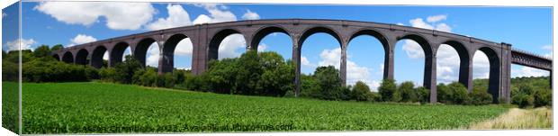 Conisbrough Viaduct Doncaster Panorama  Canvas Print by Alison Chambers