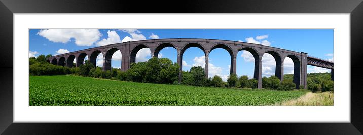 Conisbrough Viaduct Doncaster Panorama  Framed Mounted Print by Alison Chambers