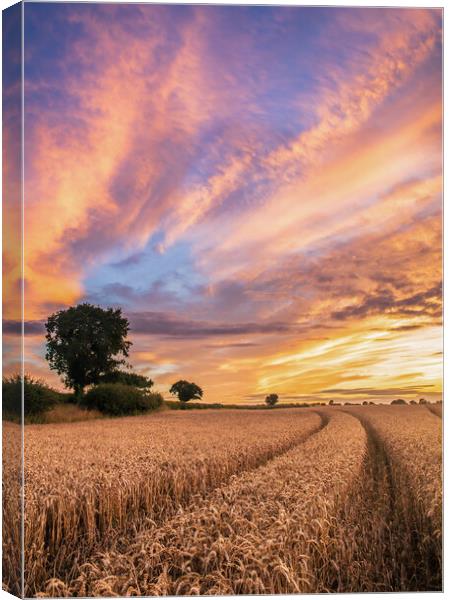 A Beautiful Norfolk Sunset Canvas Print by Bryn Ditheridge