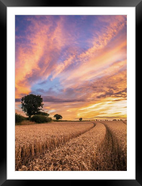 A Beautiful Norfolk Sunset Framed Mounted Print by Bryn Ditheridge