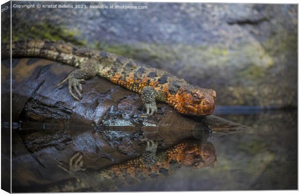 Close-up shot of Chinese crocodile lizard near water Canvas Print by Kristof Bellens