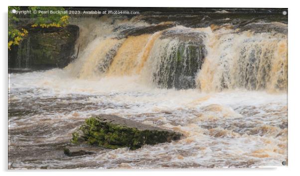 Aysgarth Falls on River Ure in Wensleydale Yorkshi Acrylic by Pearl Bucknall