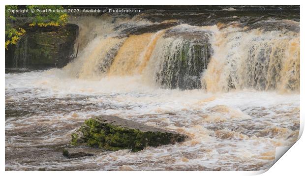 Aysgarth Falls on River Ure in Wensleydale Yorkshi Print by Pearl Bucknall
