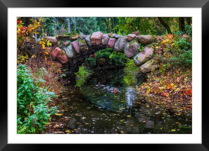 Arch Stone Bridge In Autumn Park Framed Mounted Print by Artur Bogacki