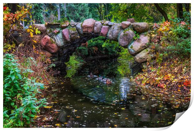 Arch Stone Bridge In Autumn Park Print by Artur Bogacki