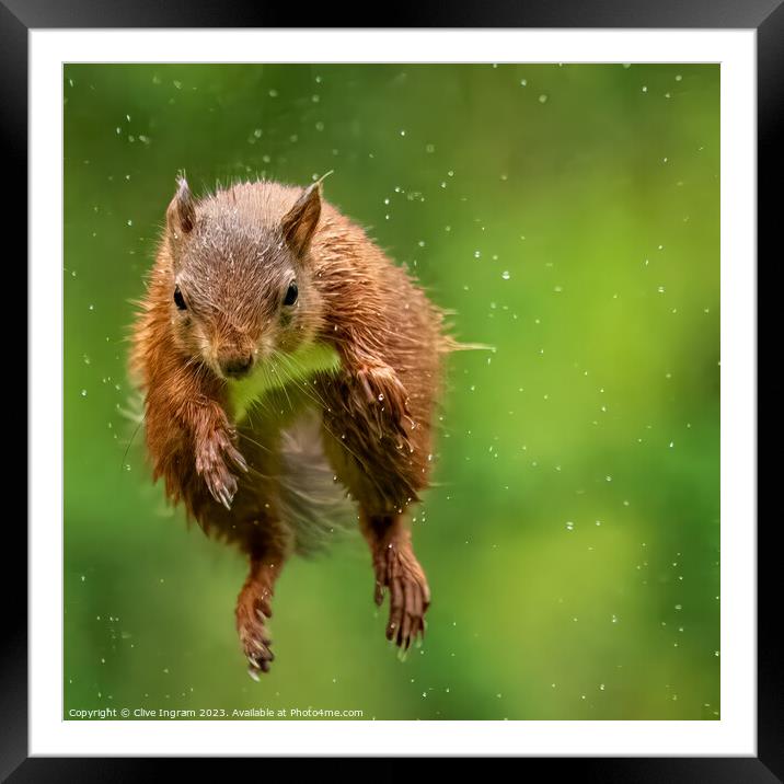 I'll do my flying in the rain Framed Mounted Print by Clive Ingram