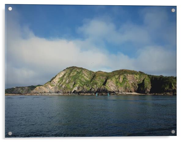 Ilfracombe north Devon Acrylic by Charles Powell