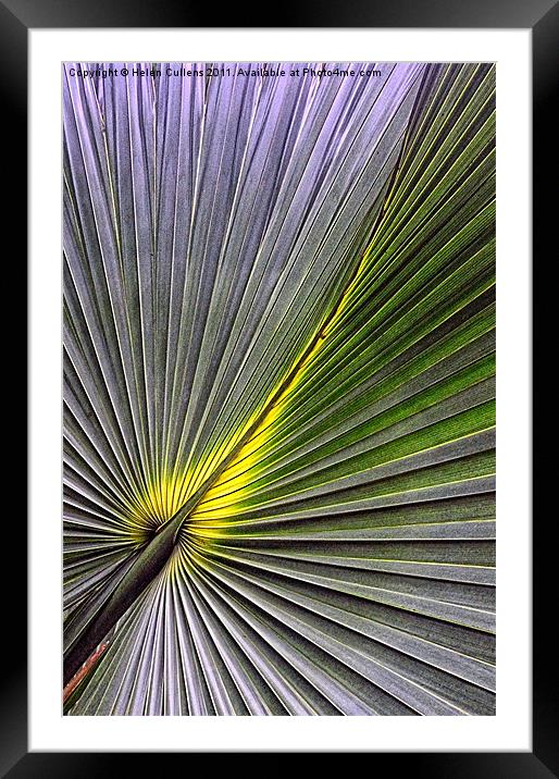 PALM LEAF Framed Mounted Print by Helen Cullens