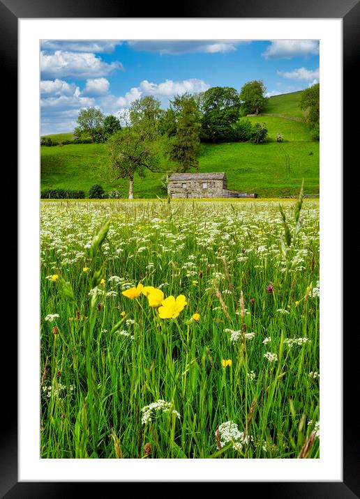 Muker Wildflower Meadow, North Yorkshire Framed Mounted Print by Tim Hill