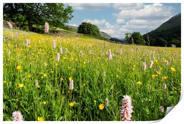 Muker Wildflower Meadow, North Yorkshire Print by Tim Hill