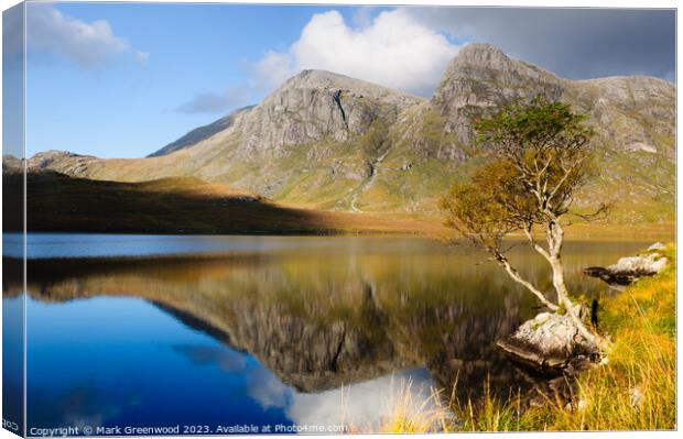 Solitary Tree by Scottish Loch Canvas Print by Mark Greenwood