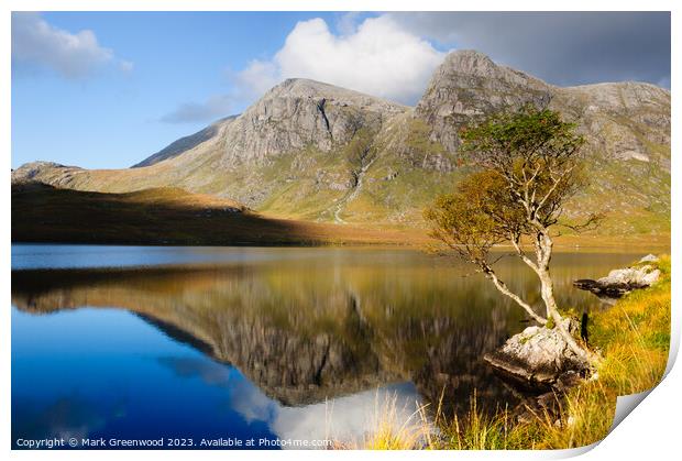 Solitary Tree by Scottish Loch Print by Mark Greenwood