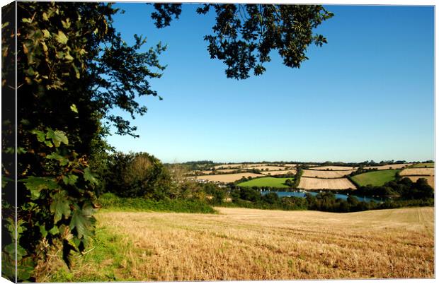 Cornish countryside Canvas Print by Kevin Britland