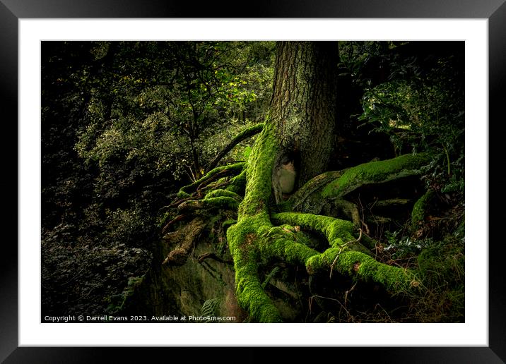 On The Edge Framed Mounted Print by Darrell Evans
