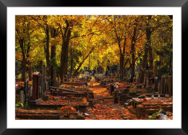 Autumn In Powązki Cemetery In Warsaw Framed Mounted Print by Artur Bogacki
