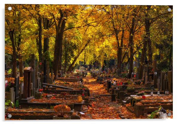 Autumn In Powązki Cemetery In Warsaw Acrylic by Artur Bogacki