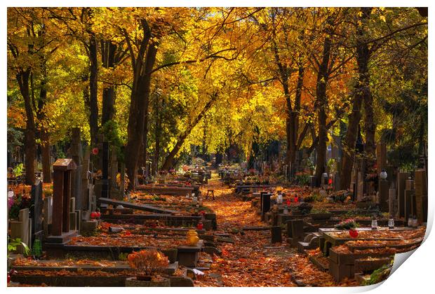 Autumn In Powązki Cemetery In Warsaw Print by Artur Bogacki