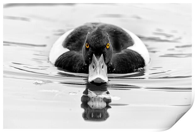 GoldenEye Print by kathy white