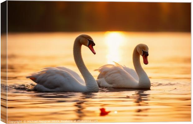 A swan couple in the sunset Canvas Print by Michael Piepgras