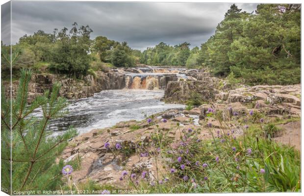 A Damp Day at Low Force Waterfall in Late Summer Canvas Print by Richard Laidler