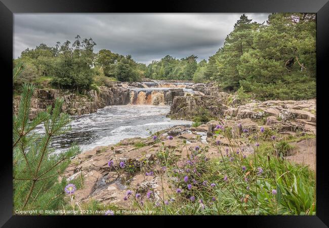 A Damp Day at Low Force Waterfall in Late Summer Framed Print by Richard Laidler