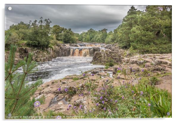 A Damp Day at Low Force Waterfall in Late Summer Acrylic by Richard Laidler