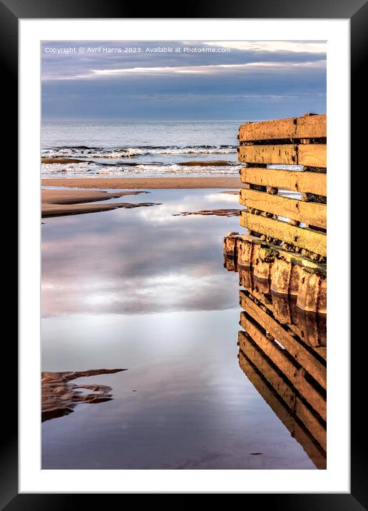 Groyne reflects at low tide. Framed Mounted Print by Avril Harris
