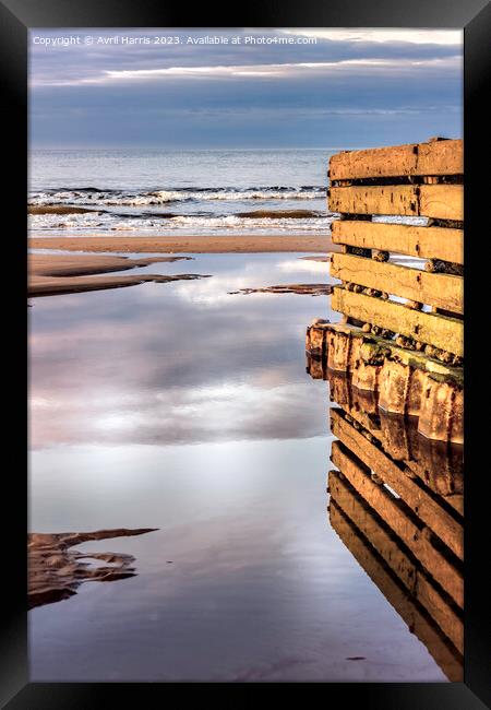 Groyne reflects at low tide. Framed Print by Avril Harris