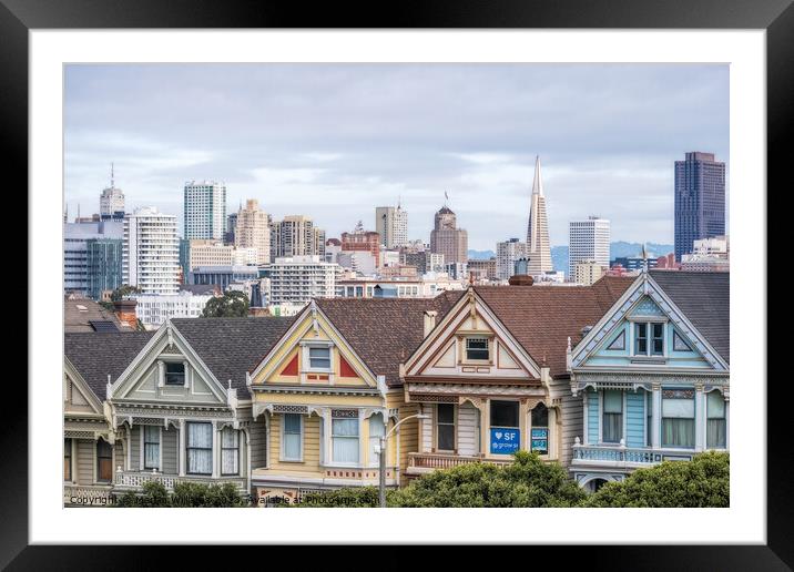 Painted Ladies row of victorian houses Alamo Square, San Francis Framed Mounted Print by Martin Williams