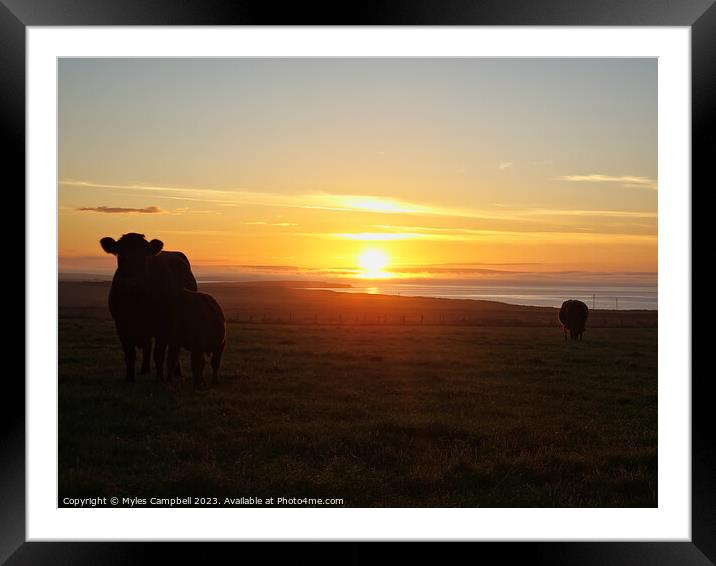 Luings at sunset Framed Mounted Print by Myles Campbell