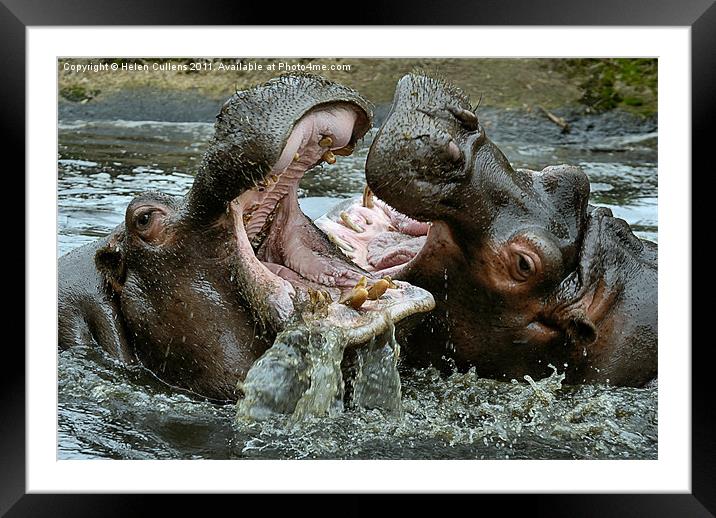 MY MOUTH'S BIGGER THAN YOURS Framed Mounted Print by Helen Cullens