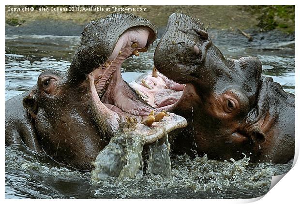 MY MOUTH'S BIGGER THAN YOURS Print by Helen Cullens