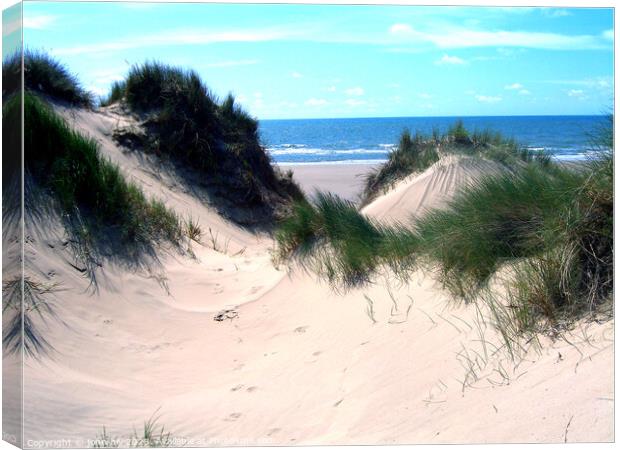 Sand dunes of Morfa Dyffryn, Wales Canvas Print by john hill