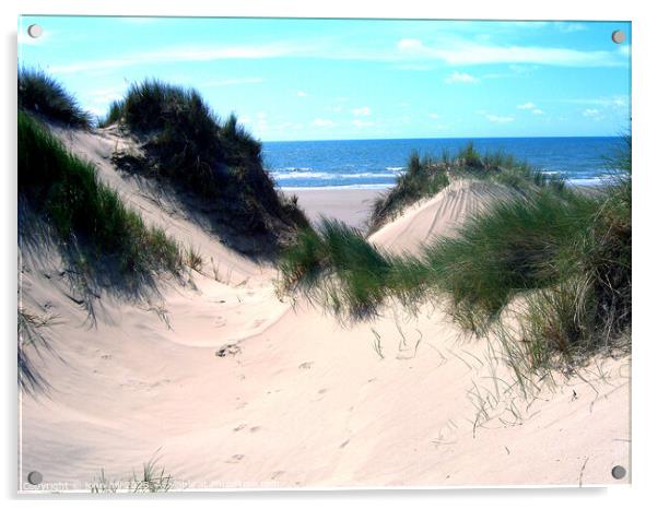Sand dunes of Morfa Dyffryn, Wales Acrylic by john hill